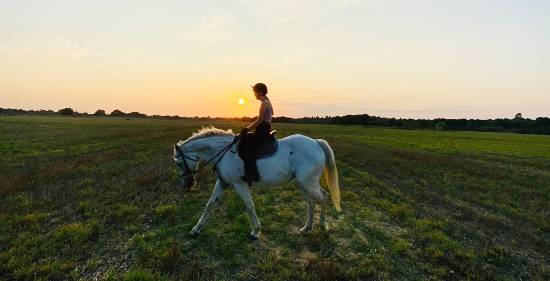 long distant horse riding can cause knee pain