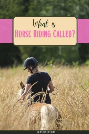 what is horse riding called 