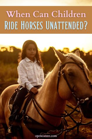 When Can Children ride horses unattended