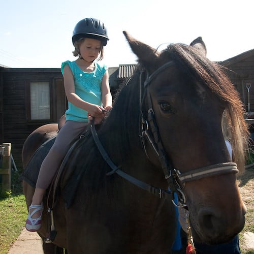 child on large horse