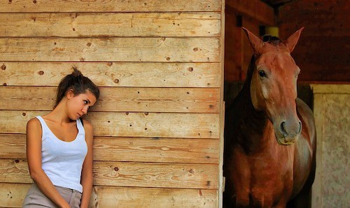 Horse in stable with owner