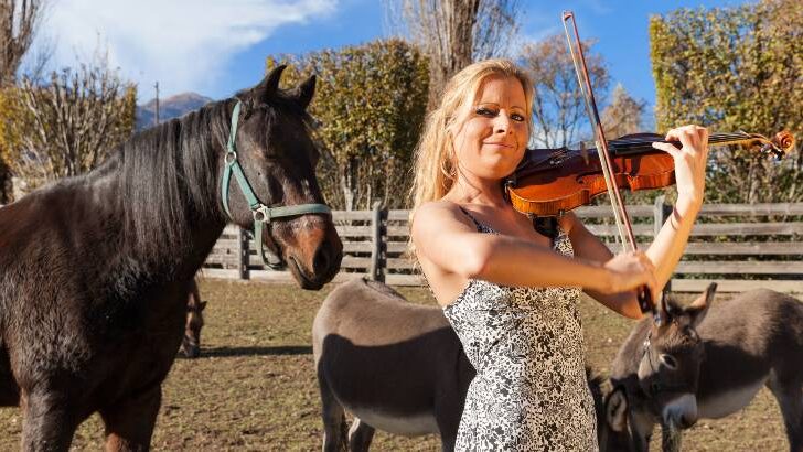 Do Horses Like Music?  And if So, What’s Their Jam?