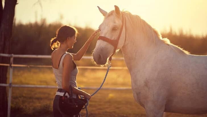 Do Horses Know Their Name? – Why Do They Respond?