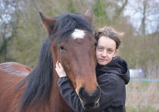 do horses like to be hugged