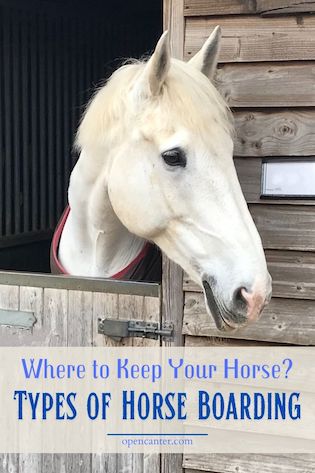 Types of horse boarding