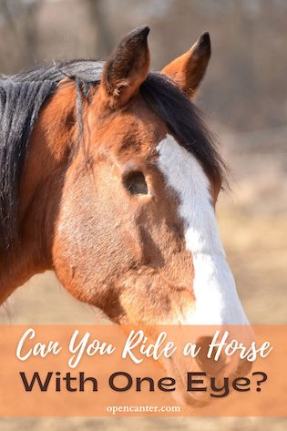 Can you ride a horse with one eye