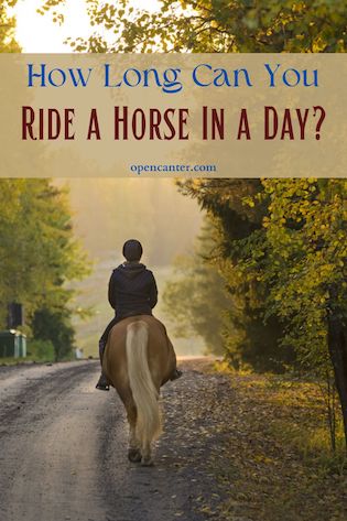 How Long Can You Ride a Horse in a Day