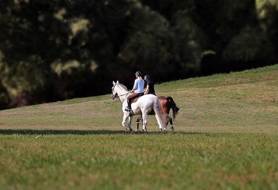 Two horse riders in a field