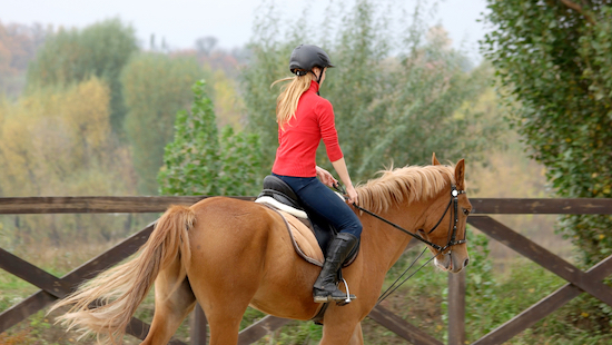 woman riding horse in outdoor arena