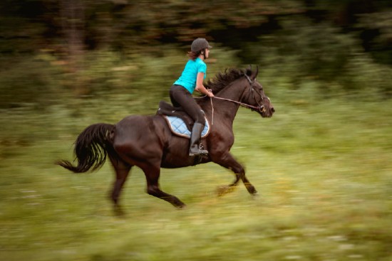 horse cantering with rider