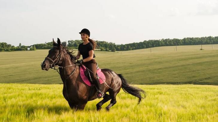 How Long Can a Horse Run?  In Trot, Canter, and Gallop?