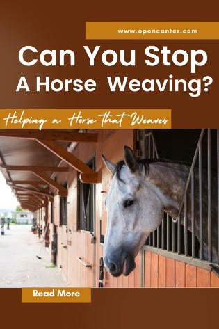 Can you stop a horse weaving pin