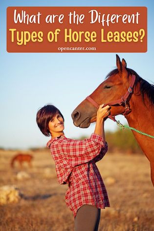 What are the different types of horse leases