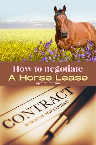 How to negotiate a horse lease