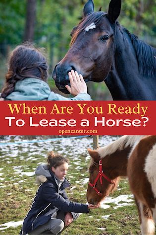 When Are You Ready to Lease a Horse