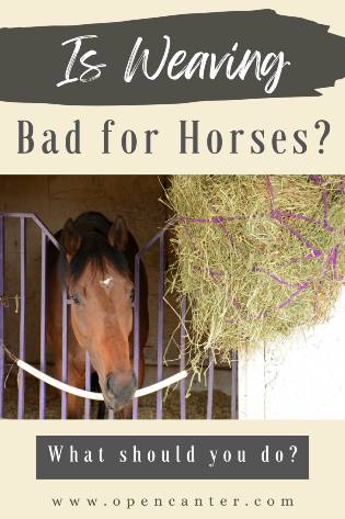 is weaving bad for horses