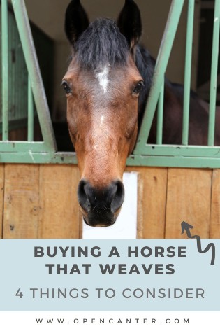 Should you buy a horse that weaves