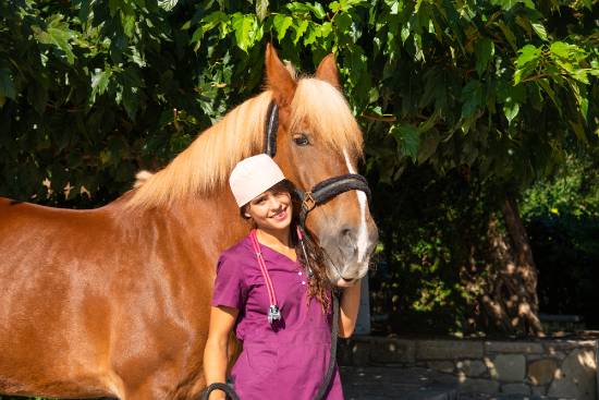 Veterinary with horse