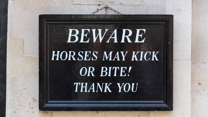 Signs of a disrespectful horse