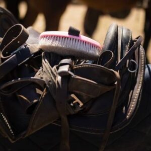 How To Get Mold Off Horse Tack – 8 Simple Steps
