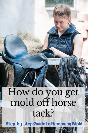 Cleaning Mold Off Tack 