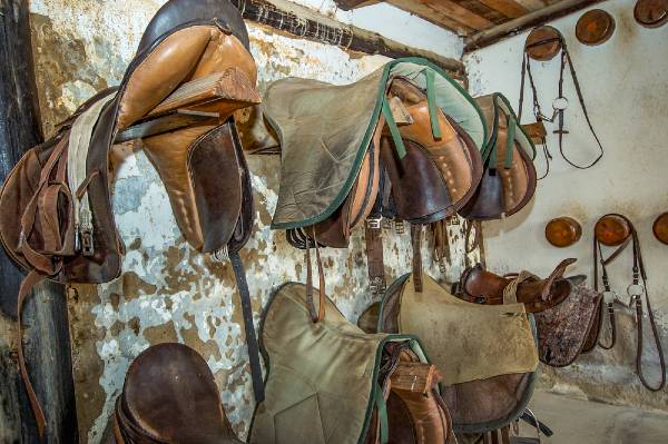 old tack in a tack room
