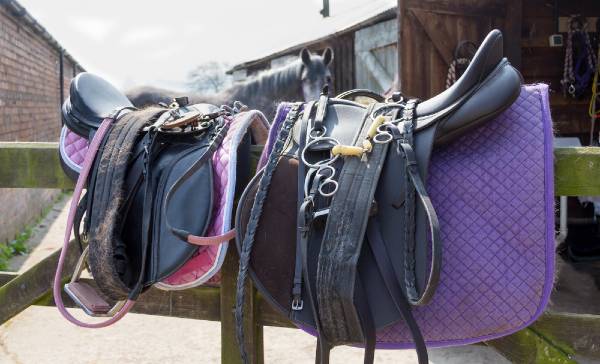 how to get mold of horse tack